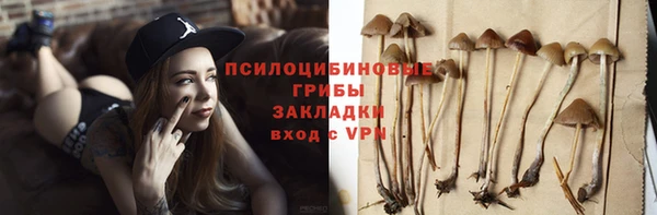 Альфа ПВП Армянск
