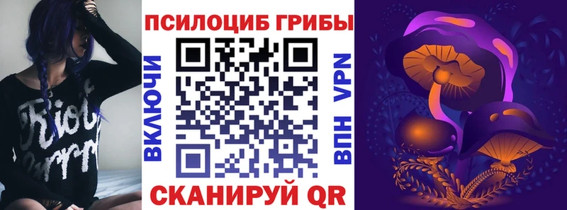 Галлюциногенные грибы Psilocybine cubensis kraken зеркало Кизел