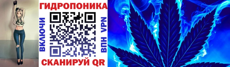 Бошки Шишки планчик Кизел